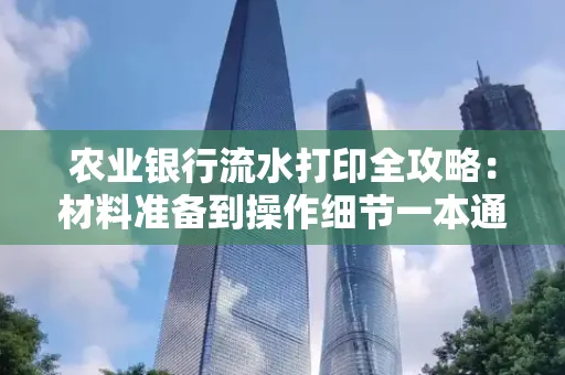 农业银行流水打印全攻略：材料准备到操作细节一本通