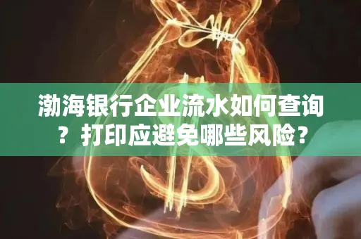 渤海银行企业流水如何查询？打印应避免哪些风险？